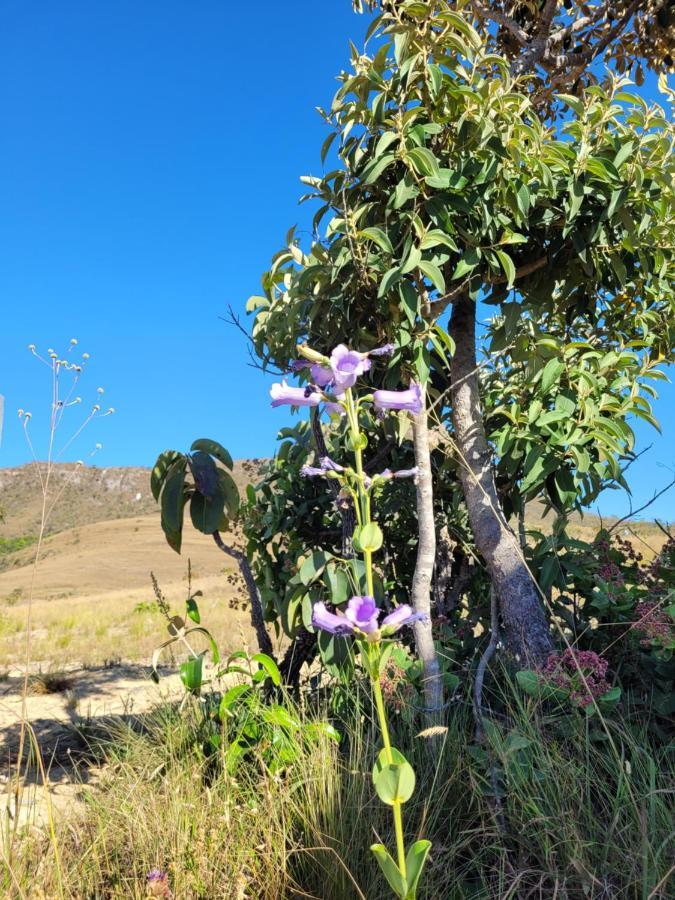 Chales Recanto Da Baleia Alto Paraíso de Goiás Eksteriør bilde